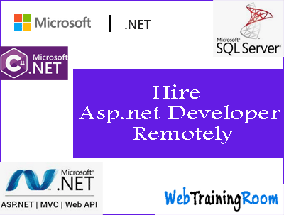 hire remote asp.net developer